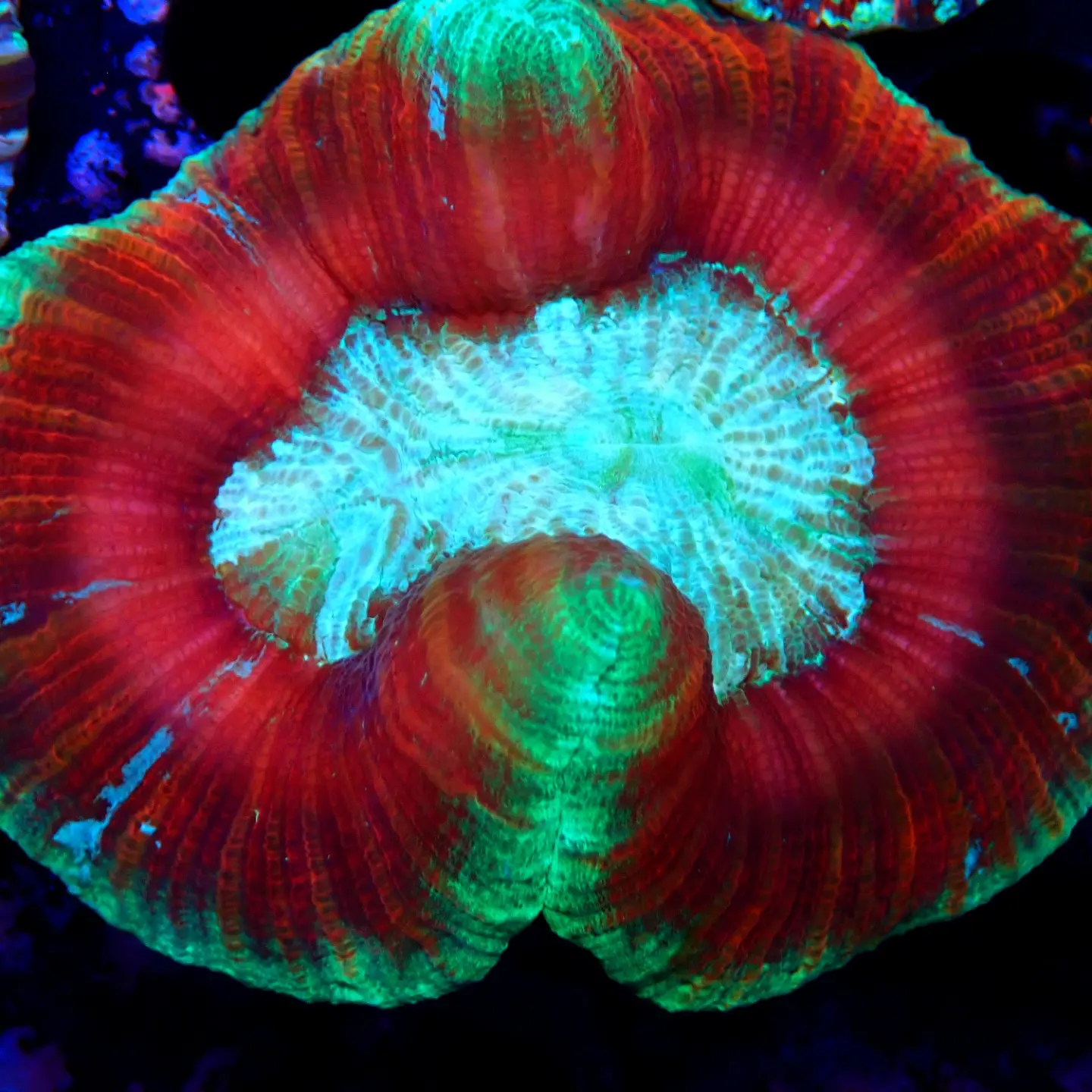 IMG_20220823_231851_647