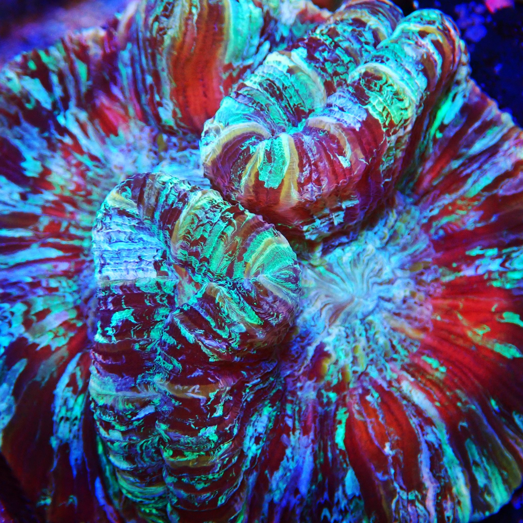 IMG_20220829_220544_602