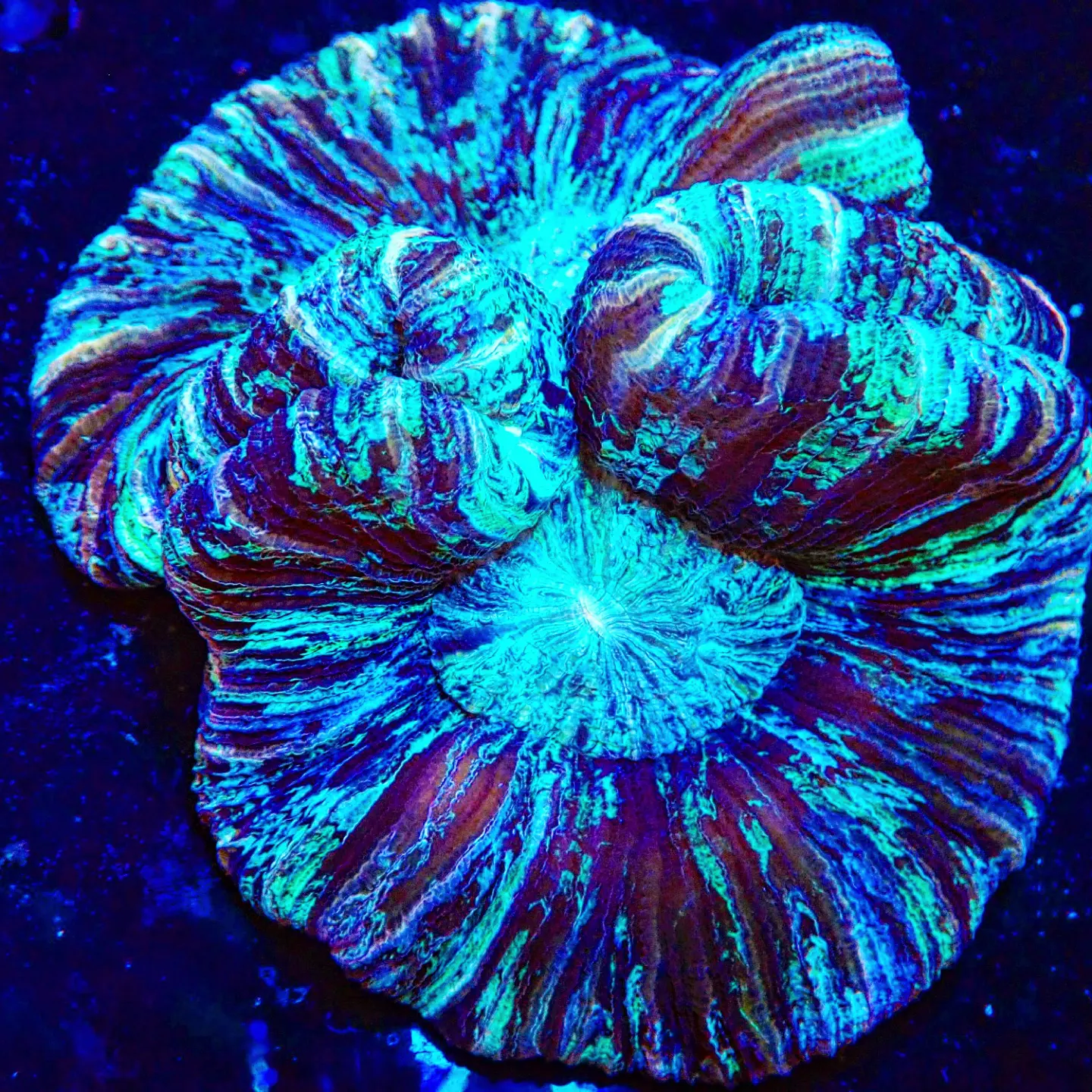 IMG_20221004_120859_642