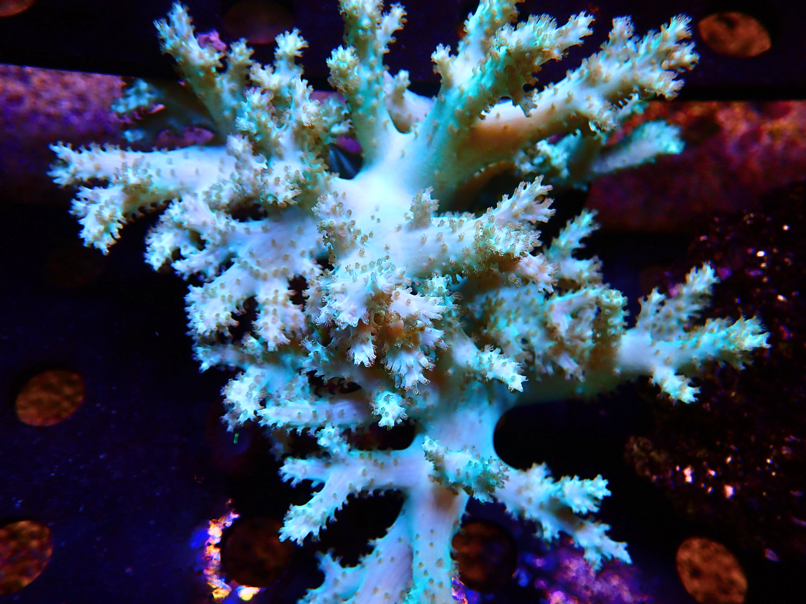 P9246637 - Düzenlendi