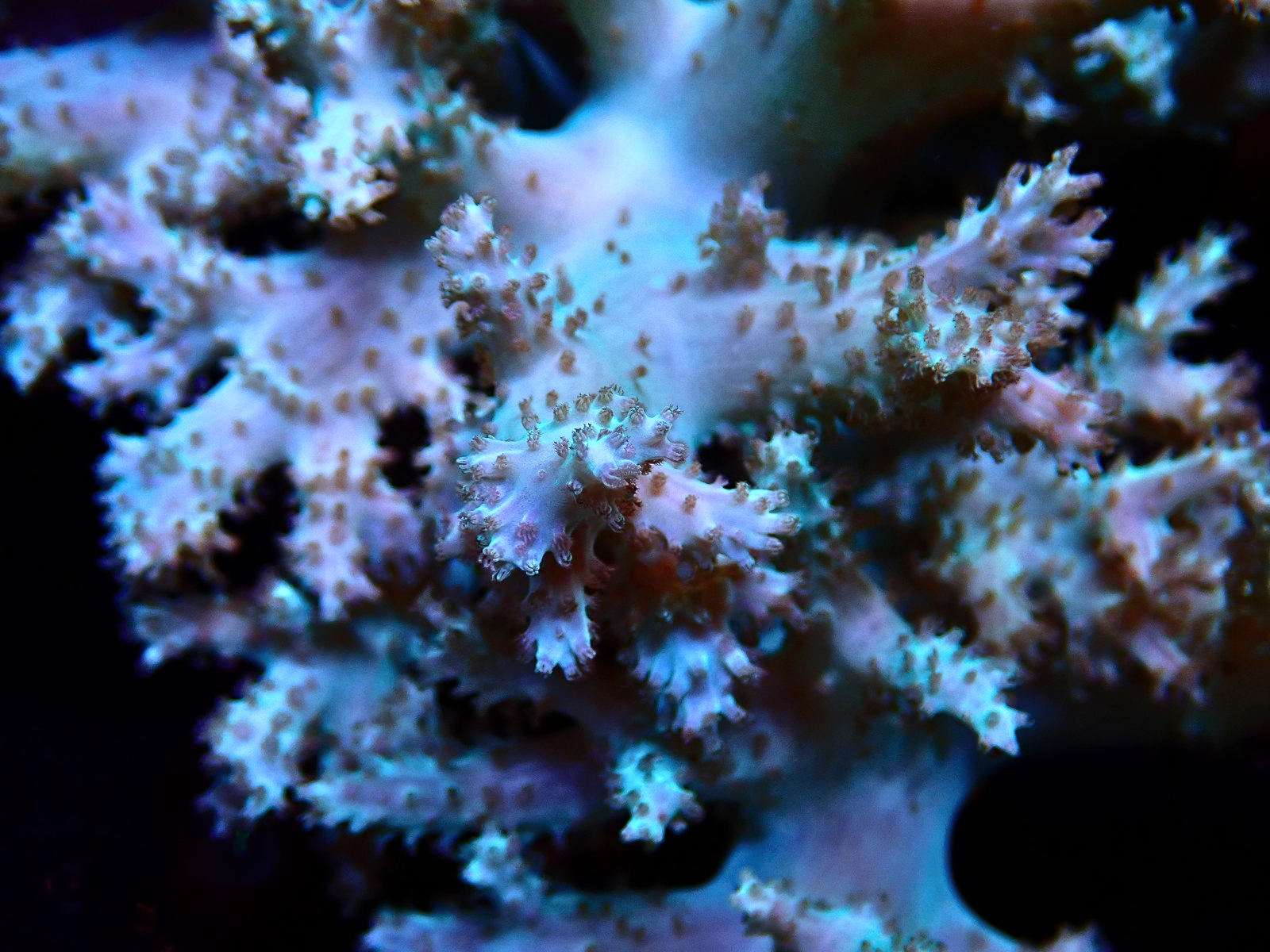 P9246638 - Düzenlendi