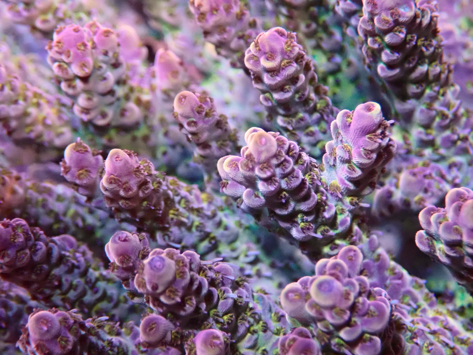 PA086760 - Düzenlendi