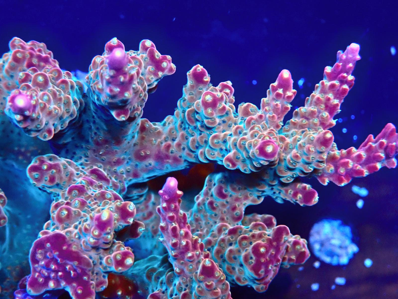 PA126777 - Düzenlendi